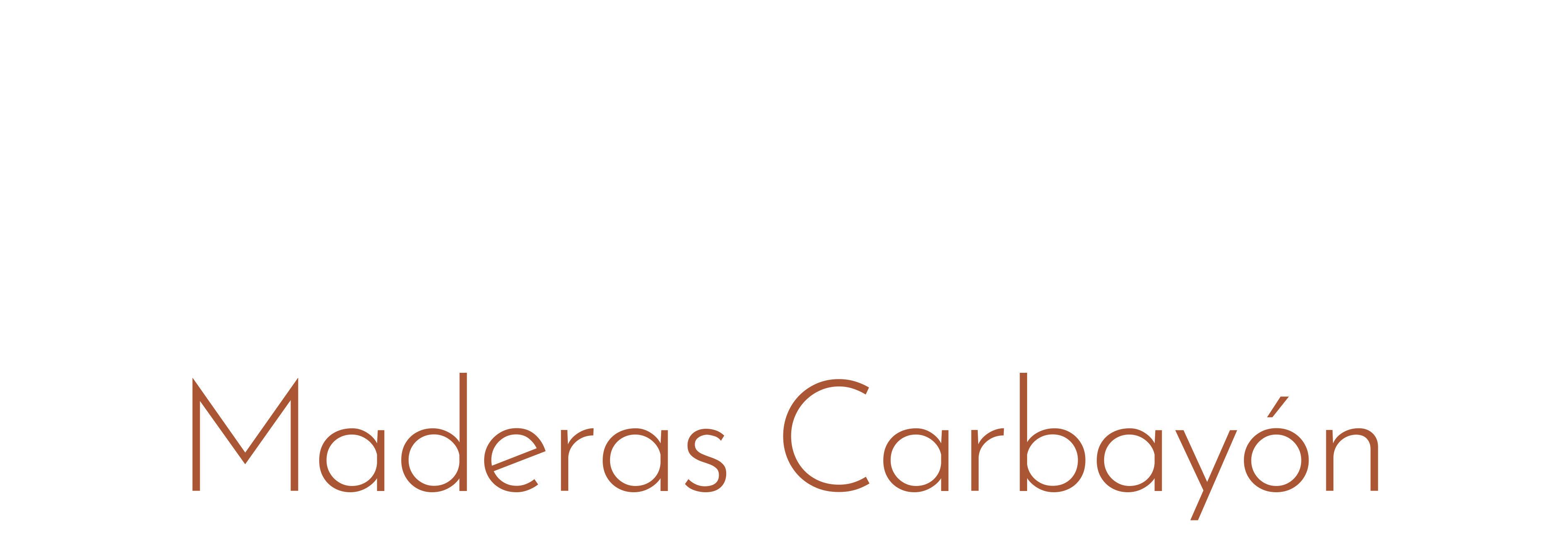 Maderas Carbayón
